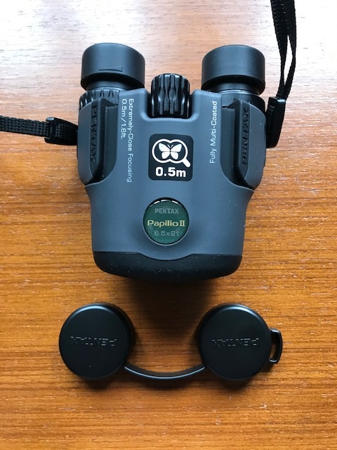 Pentax 6.5 hot sale x21mm papilio binoculars