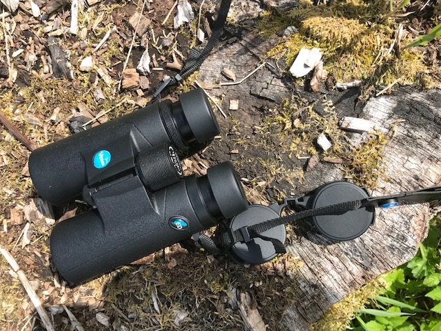 New Viking Kestrel 8x42 ED Waterproof Binoculars and Case *OFFICIAL UK STOCK* 